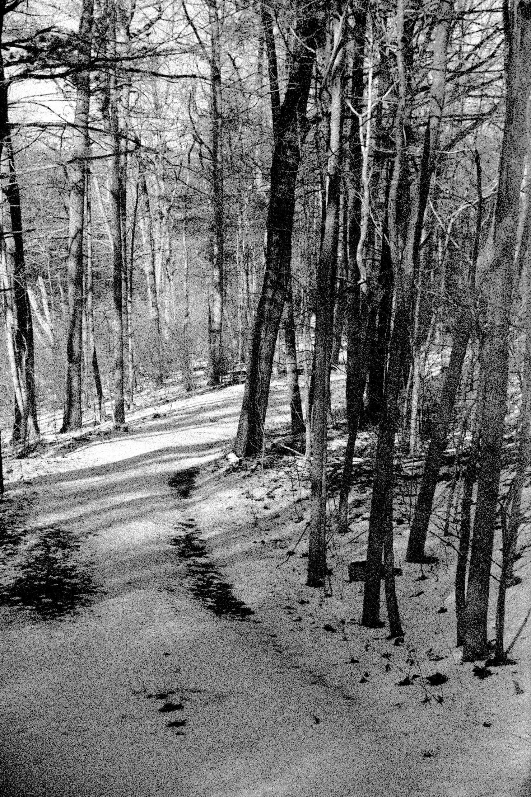 Jameson Freeman, Near Wardensville DC Art Events DC Wedding